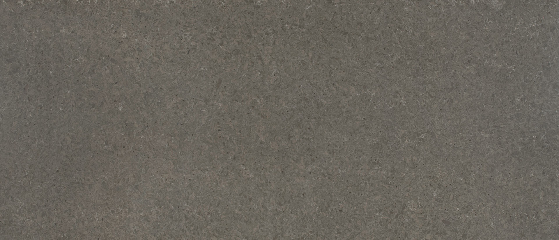 Babylon Gray - Concrete Finish